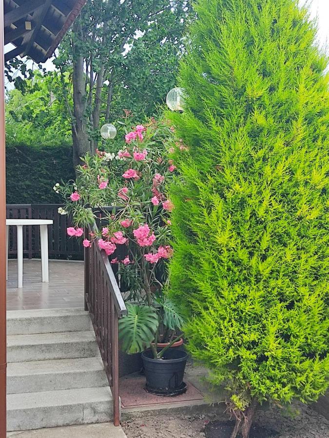 Arnika Vendeghaz Apartment Hajduszoboszlo Luaran gambar